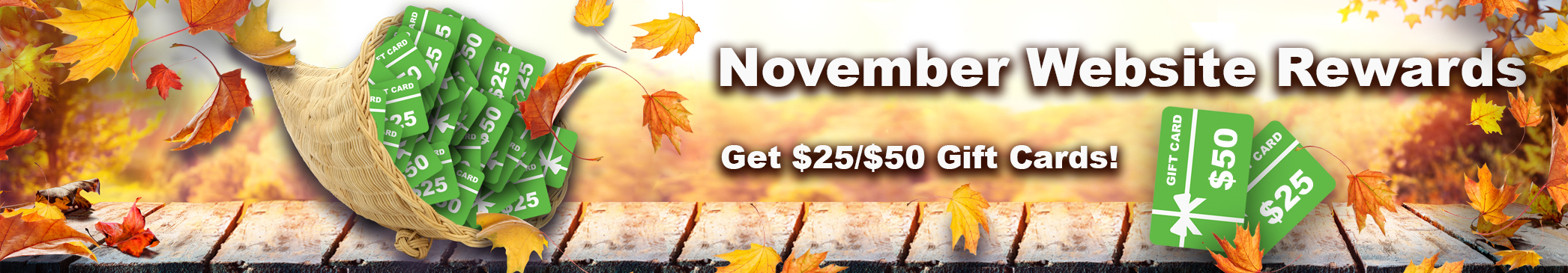 November Website Rewards for New Customers