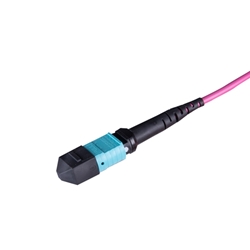MPO/MTP® Patch Cables