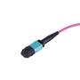 MTP® brand MPO-Style Patch Cable