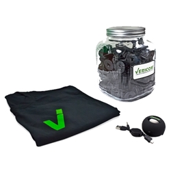 Vericom Guessing Game